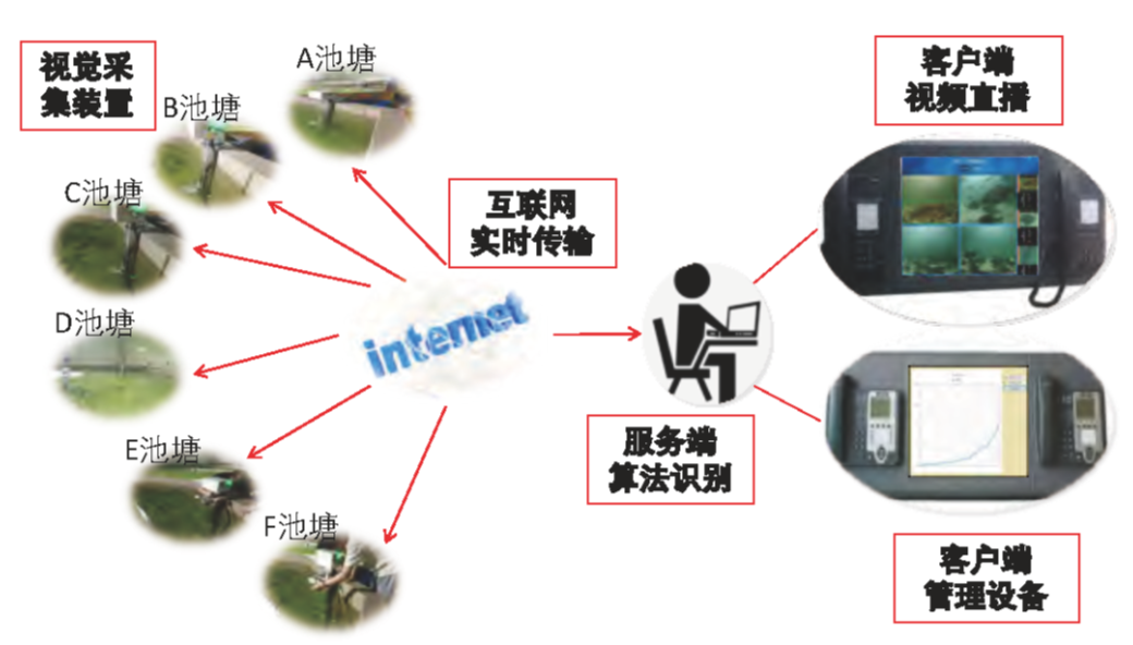 水産(chǎn)監測 